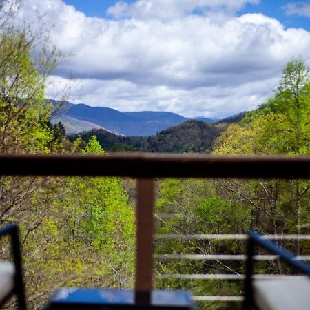 Family Cabin Near Smoky Mtn Entrance Nantahala Robbinsville Exterior foto
